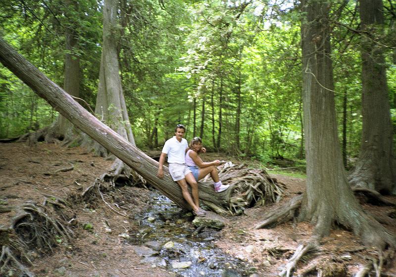 img045