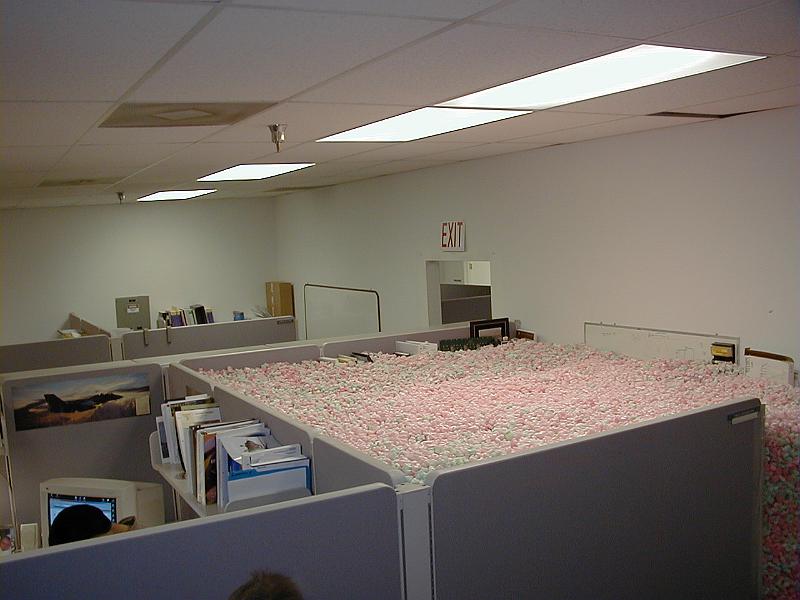 P1010010