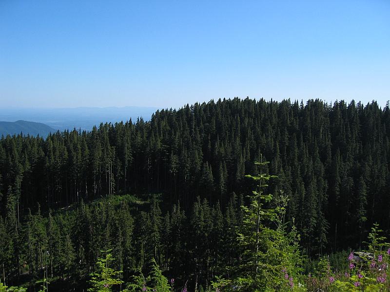 STE_0672