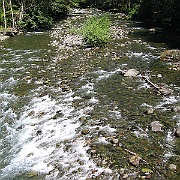 IMG_0630