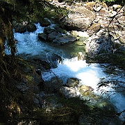 IMG_0636
