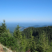 IMG_0661