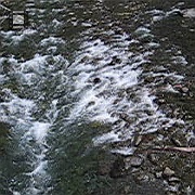 MVI_0631