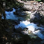 MVI_0635