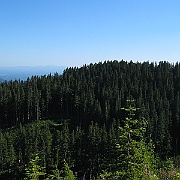 STE_0672