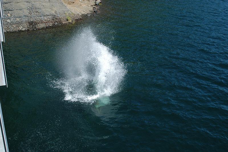 DSC_0059