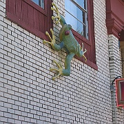 IMG_1840