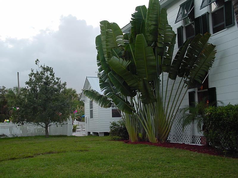 DSC00057
