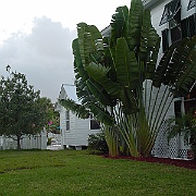 DSC00057