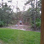 MVI_2029