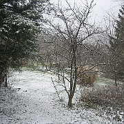 IMG_3213