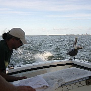 IMG_0080