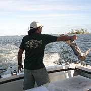 IMG_0081