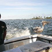 IMG_0082