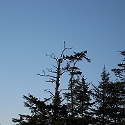 IMG_1511