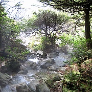 IMG_0250