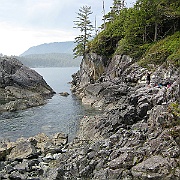 IMG_1594