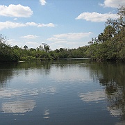 IMG_5061