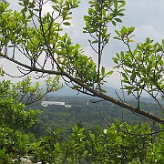 IMG_5513