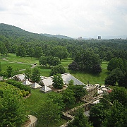 IMG_5529