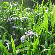 IMG_5557