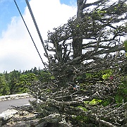 IMG_5603