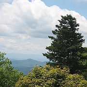 IMG_5616