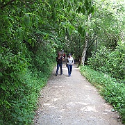 IMG_2502
