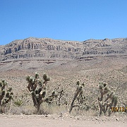 IMG_0129