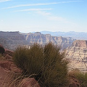 IMG_0203