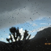 IMG_0231