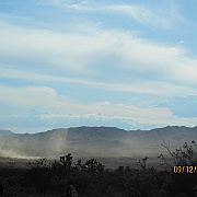 IMG_0234