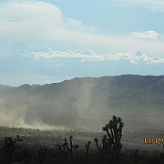 IMG_0235