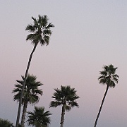 IMG_2376