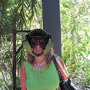 IMG_2431