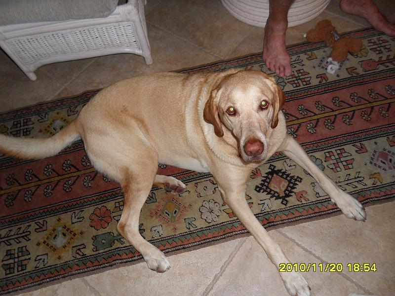 SAM_0046