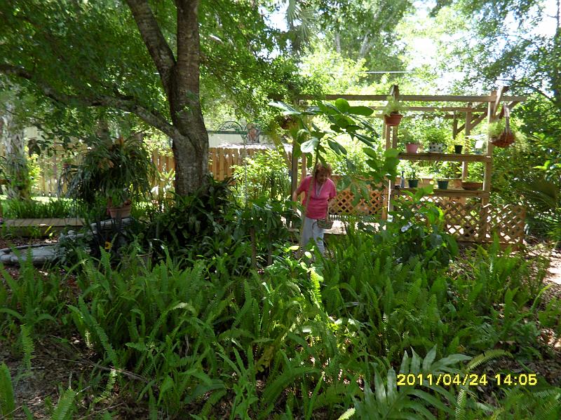 SAM_0011