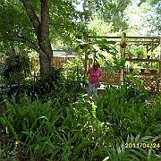 SAM_0011