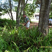 SAM_0013