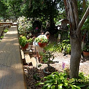 SAM_0023