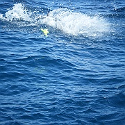 DSCF0083