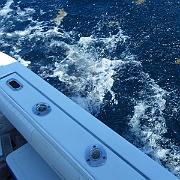 DSCF0085