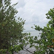 IMG_0450
