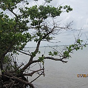 IMG_0452