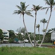 IMG_0454