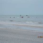 IMG_0468