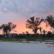 IMG_0503