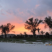 IMG_0505