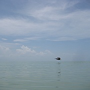 IMG_0278