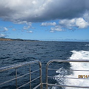 IMG_1075